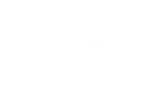 Avalanche Studio Group